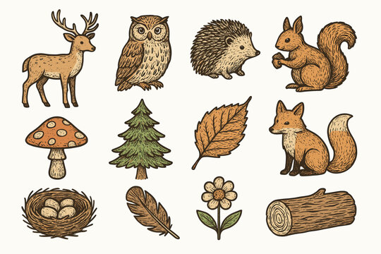 Icon owl vector squirrel woodland icons toadstool life nest deer fox leaf