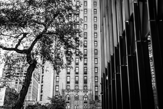 New York en blanco y negro