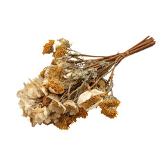 Beautiful dried flower bouquet with boho autumn style isolated on white background