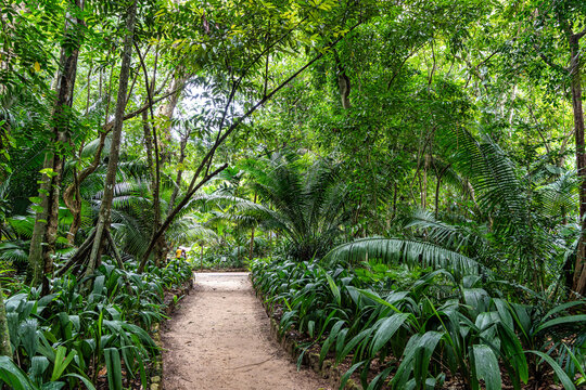 Belem, Brazil - Dec 07, 2024: Museum Emilio Goeldi at Belem, Brazil. Research Institute with Fauna and Flora from Amazon