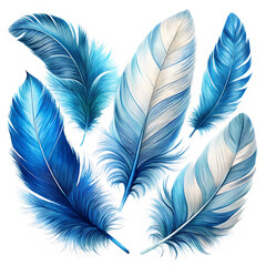 Feathers Clipart Blue and white Feathers on a isolated white background. PNG