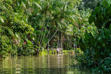 River boat tour on the Guama River at Belem do Para, a city on the north area of Brazil.