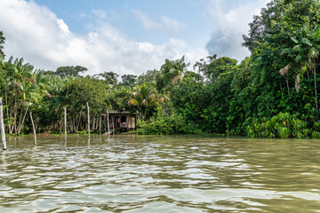 River boat tour on the Guama River at Belem do Para, a city on the north area of Brazil.