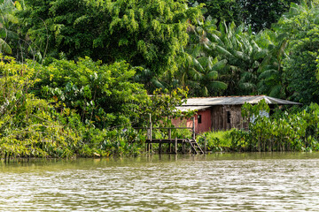 River boat tour on the Guama River at Belem do Para, a city on the north area of Brazil.