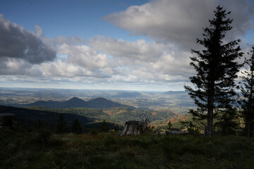 Drzewa, las, natura, góry, krajobraz, fotografia leśna,  © Adrian Jaśpiński