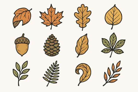 Chestnut dried collection leaf autumn pinecone icons branch fern cozy vector icon