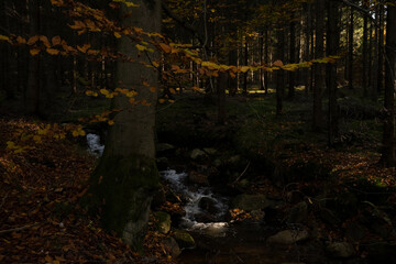 Natura, las, góry, drzewa, krajobraz, jesienią, drzew, skały, Polska, Krajobraz, Jesień, Dolny śląsk,  © Adrian Jaśpiński