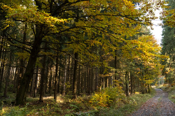 Natura, las, góry, drzewa, krajobraz, jesienią, drzew, skały, Polska, Krajobraz, Jesień, Dolny śląsk, 