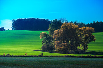 Natura, las, góry, drzewa, krajobraz, jesienią, drzew, skały, Polska, Krajobraz, Jesień, Dolny śląsk,  © Adrian Jaśpiński