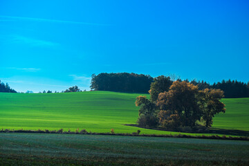 Natura, las, góry, drzewa, krajobraz, jesienią, drzew, skały, Polska, Krajobraz, Jesień, Dolny śląsk,  © Adrian Jaśpiński