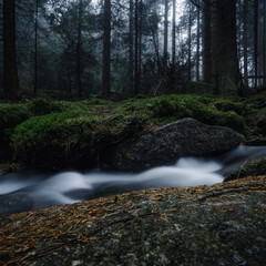 Natura, las, góry, drzewa, krajobraz, jesienią, drzew, skały, Polska, Krajobraz, Jesień, Dolny śląsk,  © Adrian Jaśpiński