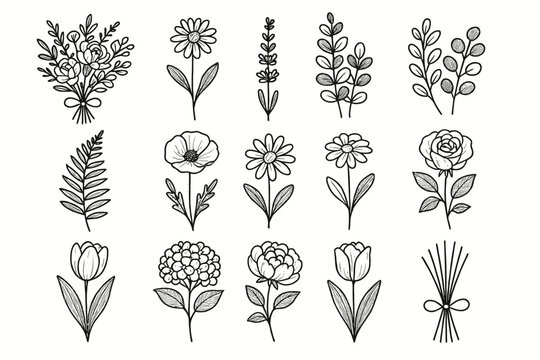 Chamomile rustic lavender set bunch floral peony daisy vector icon eucalyptus bouquet