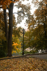A very beautiful autumn day in the park. Gomel.