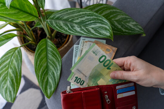 Hand holding euro banknotes from red leather wallet next to green striped houseplant on dark surface. Concept of European currency, financial planning and monetary system. High quality photo