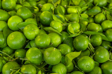 Fresh green tangerine pile. Green tangerines at local market. Fresh citrus fruit stack. Heap of unripe green mandarins.