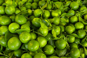 Fresh green tangerine pile. Green tangerines at local market. Fresh citrus fruit stack. Heap of unripe green mandarins.