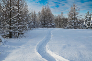 a well- trodden path in a winter landscape