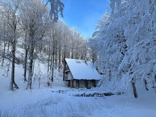 Mountain house at Bijele stijene reservation, Gorski kotar, Croatia
