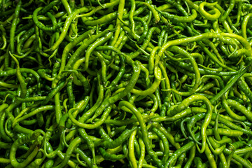 Organic green pepper on display. Fresh green pepper. Freshly harvested green pepper.