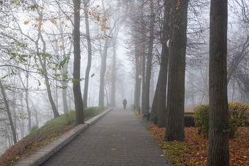 Fototapeta premium A very beautiful autumn day in the park. Gomel.