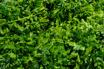 Obraz premium Organic fresh herbs on market stall. Fresh herbs at local market. Green herbs displayed at street bazaar.