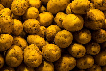 Fresh potatoes on market stall. Raw potatoes for sale at farmer’s market. Organic potatoes displayed at local market.
