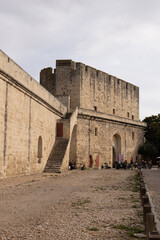 Aiguemortes et les salins