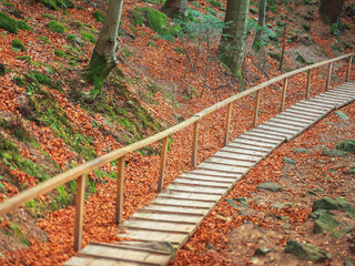 wooden pathway in park in autumn day with red leaves on ground