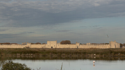 Aiguemortes et les salins
