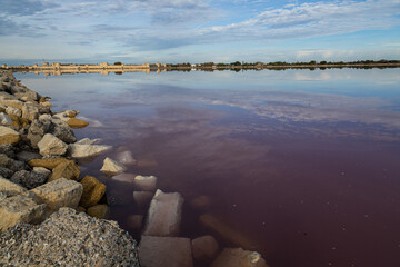 Aiguemortes et les salins