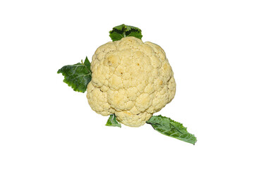 Cauliflower on a isolated white background