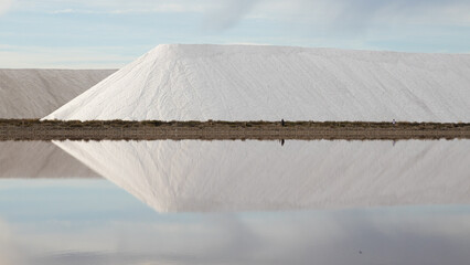 Aiguemortes et les salins