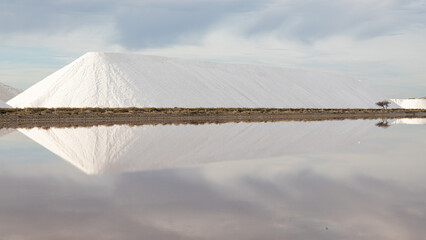 Aiguemortes et les salins