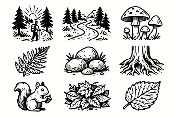 Obraz premium Vector mushrooms tree icon roots path rocks ferns hike morning forest