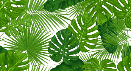 palm leaves background