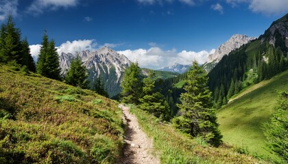 Naklejka premium hiking trail through forested alpine peaks