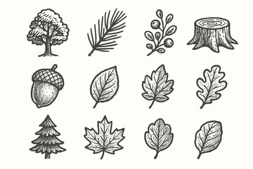 Berry vector seasonal edge leaf stump forest icons pine acorn branch icon