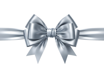 Elegant silver ribbon bow