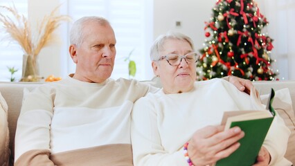 Elderly couple enjoys reading together by a Christmas tree while celebrating New Year in a cozy living room