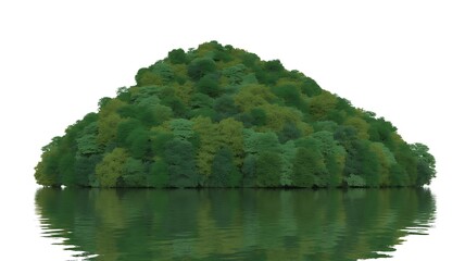 Lush green tree-covered island with water reflection on white