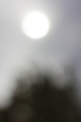 A dreamy view of the sun and clouds