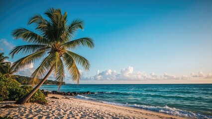 Tropical beach with palm trees, sand, and ocean waves at sunset or sunrise. Relaxing seaside scenery with natural beauty and calm waters.