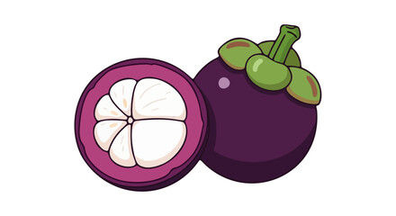 Vector half cut Mangosteen 
