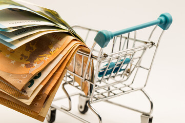 Close-up Perspective of European Currency: Fanned Stack of Euro Notes (50, 20) in a Small Metal Shopping Basket.