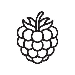 Raspberry icon with leaves
