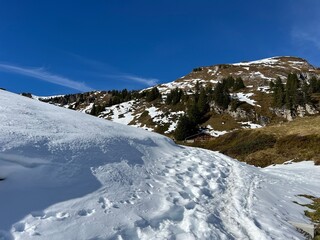Wonderful winter hiking trails and traces on the fresh alpine snow cover of the Bernese Oberland region, Switzerland - Herrliche Winterwanderwege und Spuren auf der frischen Schneedecke, Schweiz