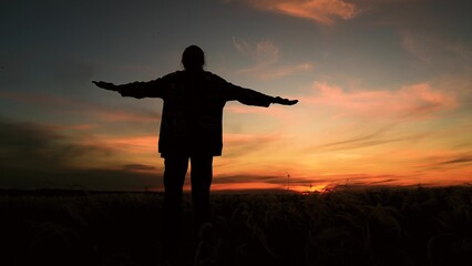 Young woman enjoying freedom of nature. Girl raises her hands to sky in park sunset. Happy girl prays against sky. Happy person, sky. Girl looks at sky. Young woman dreams, travels in nature, sunrise