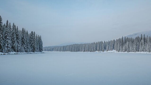 Snow-covered lake with dense pine forests in the background during winter. Landscape and nature scene. Cold weather and winter scenery.
