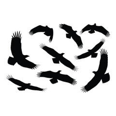 A collection of black silhouettes depicting birds in flight poses
