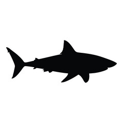 Silhouette of a great white shark swimming in dark waters